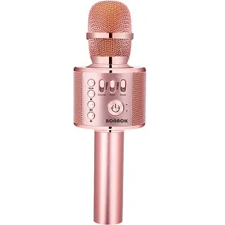 Best Karaoke Microphone 2022