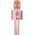 Best Karaoke Microphone 2022