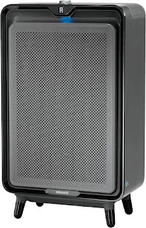 Air Purifiers: Enhancing Indoor Air Quality for Health and Comfort Bissell Smart Purifier with HEPA and Carbon Filters for Large Room and Home