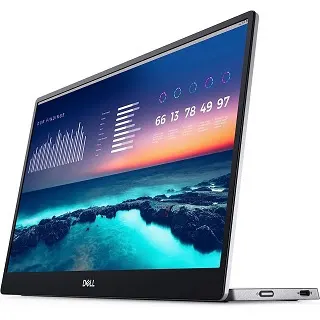 Dell Portable Monitor