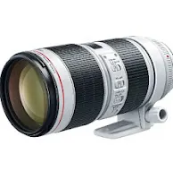 Comparing Rokinon FE14M-C vs. Other Wide-Angle Lenses