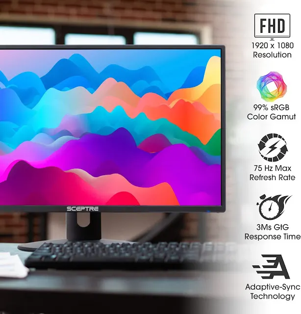 Sceptre 24 inch Professional Thin LED Monitor Review
