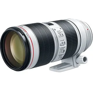 Canon EF 70-200mm f/2.8L IS III USM Lens : Excellent Investment for Professional Photographers