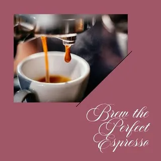Breville Espresso Machines: A Comprehensive Review Breville Espresso Machines: A Comprehensive Review