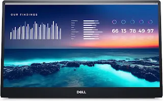 Dell Portable Monitor