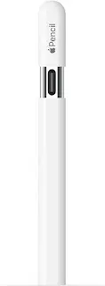 Apple Pencil Pro: A Creative Powerhouse Apple Pencil (USB-C)