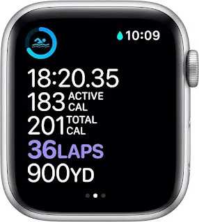 Apple Watch Series 6
