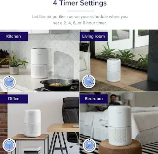 LEVOIT Air Purifier for Home: Clean Indoor Air and Remove Harmful Ppollutants