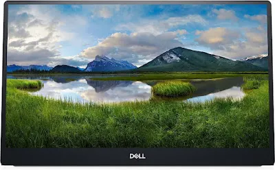 Dell Portable Monitor