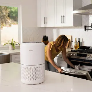 LEVOIT Air Purifier for Home: Clean Indoor Air and Remove Harmful Ppollutants