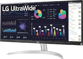 LG Ultrawide Monitor 29 Inch