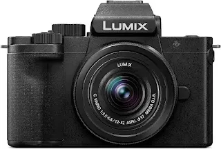 Panasonic LUMIX G100 Review