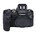 Canon EOS R6: A Powerful Mirrorless Camera for Professional Photography